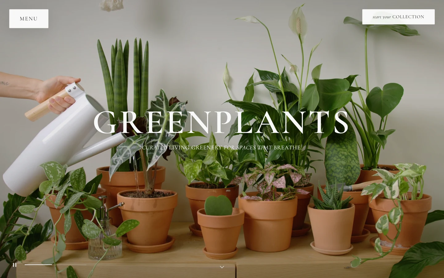 GreenPlants